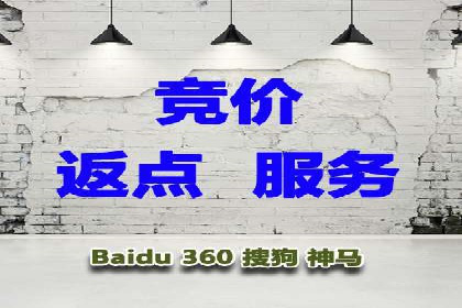 SEM搜索引擎优化：成功案例解析